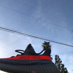 BELUGA 1.0